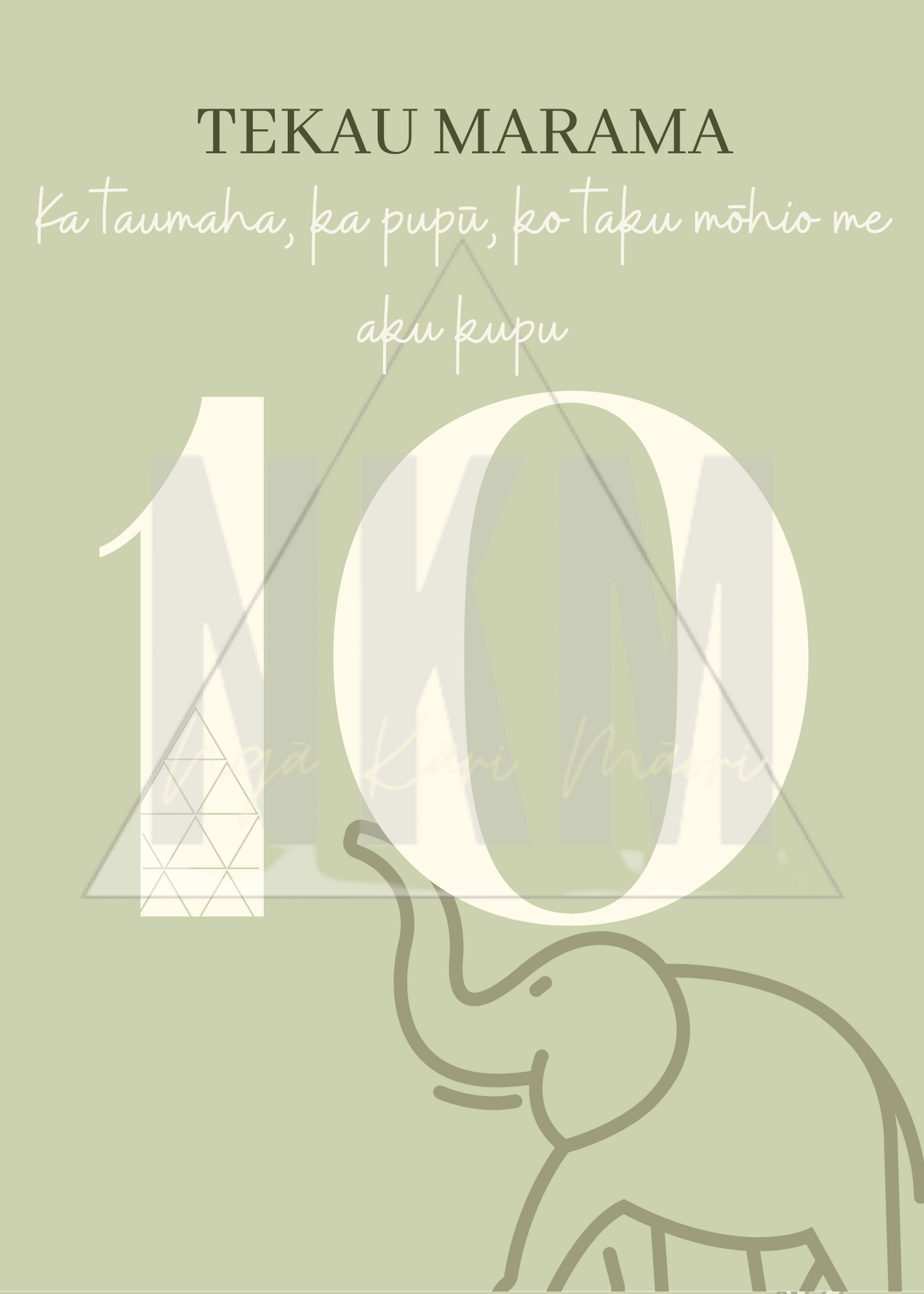 Te Reo Māori Baby Milestone Cards