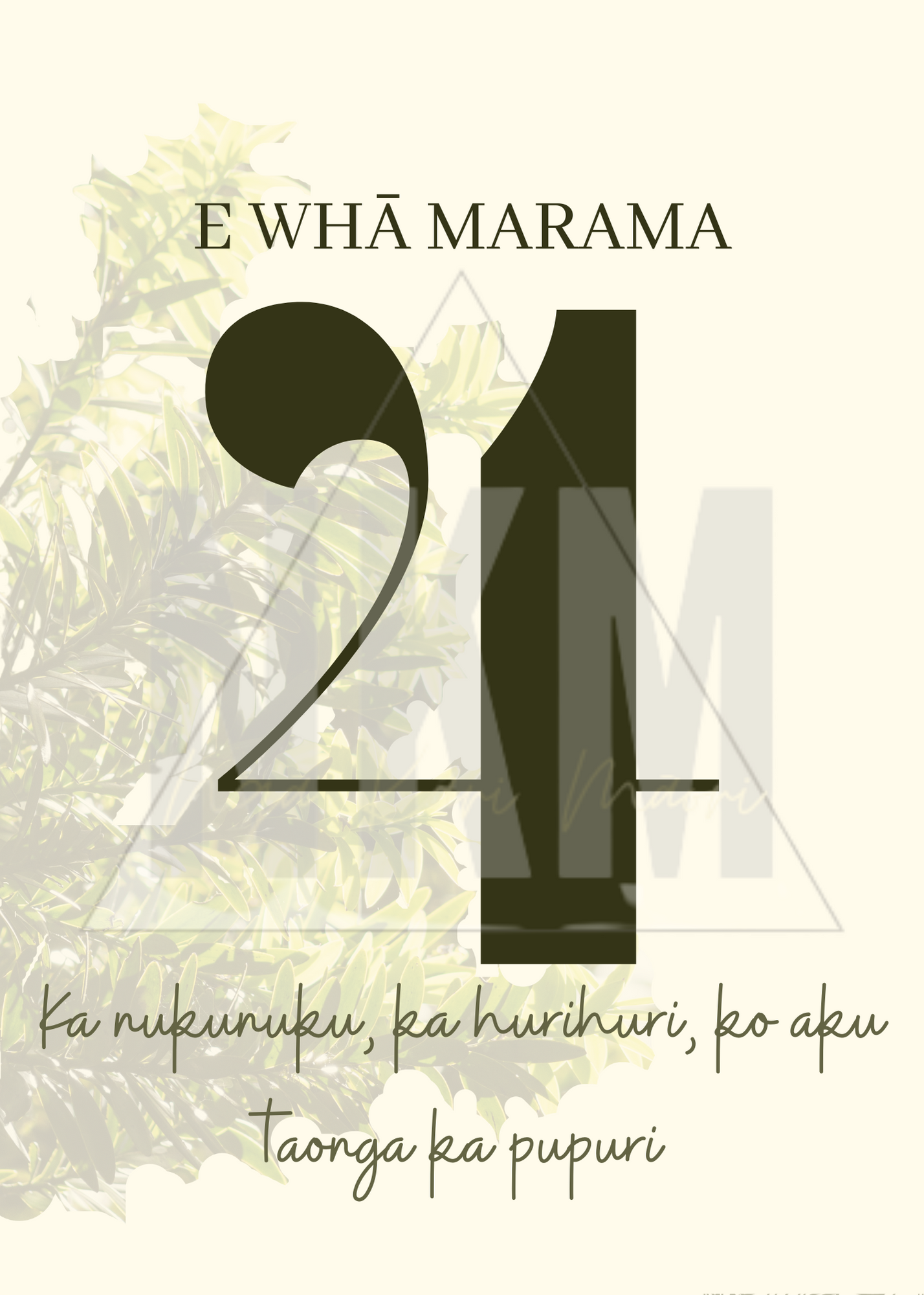 Te Reo Māori Baby Milestone Cards