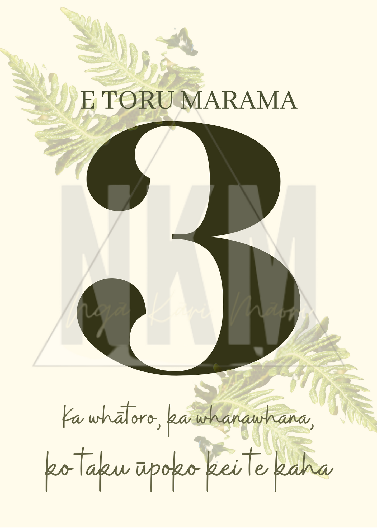 Te Reo Māori Baby Milestone Cards